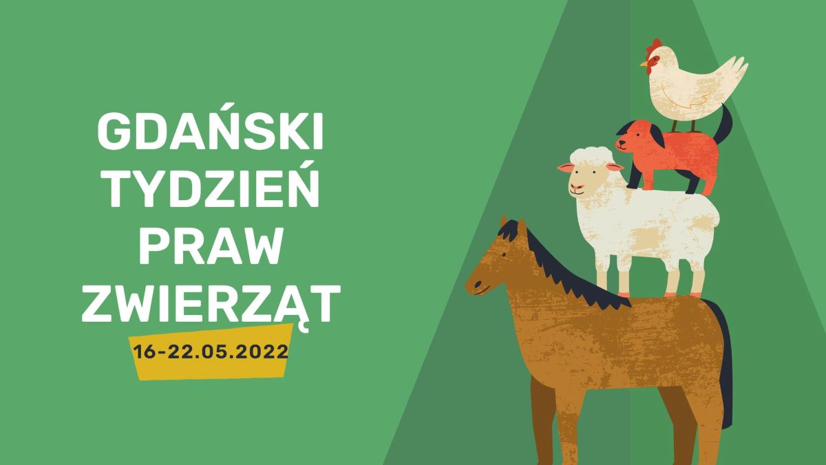 baner promujący Gdański Tydzień Praw Zwierzat 16 - 22 maja 2022 rok. Grafika kury, psa, owcy i konia - jeden stoi na drugim