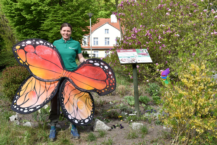 motyli ogród na terenie szpitala dziecięcego polanki, młoda kobieta trzymająca sztucznego wielkiego motyla
