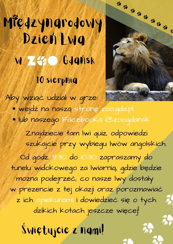 plakat promujący Międzynarodowy Dzień Lwa w gdańskim ZOO