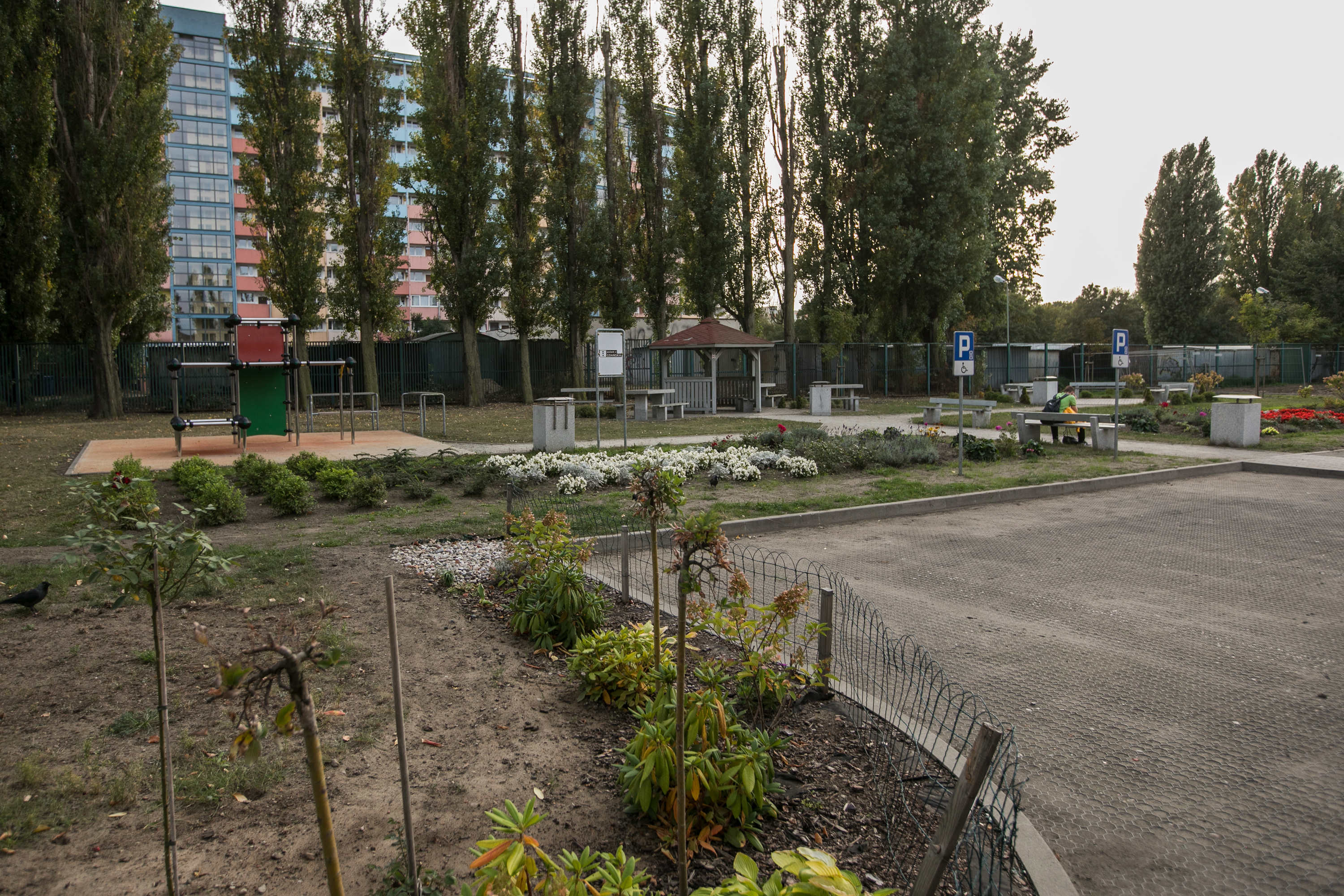 widok na nowe park rekracyjny, z ławkami i zagospodarowaną zielenią