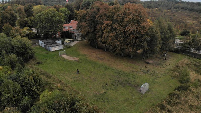 Zdjęcie przedstawia zaniedbany teren porośnięty roślinnością, z góry