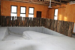 Przebudowa budynku dla hipopotamów karłowatych.