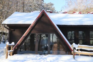 Przebudowa budynku dla hipopotamów karłowatych.