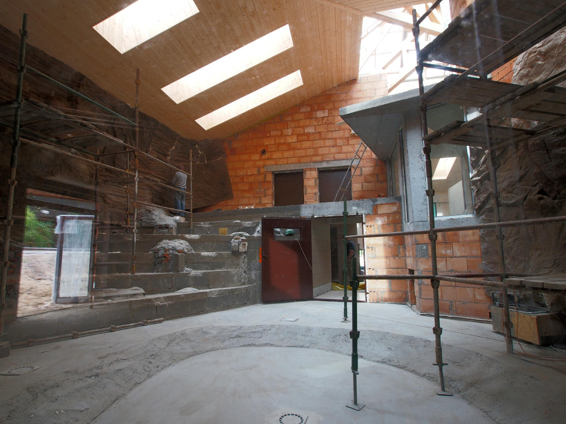 Budowa wybiegu i pawilonu dla lwów