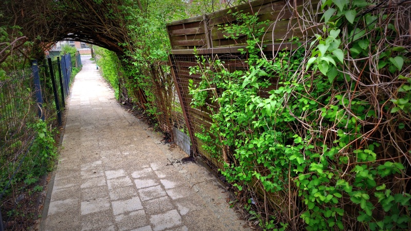 Aniołki pieszo 2.0 - remont przejścia Płowce - Powstańców Warszawskich